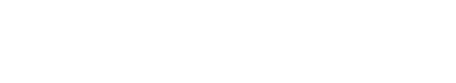 Lotus Capital